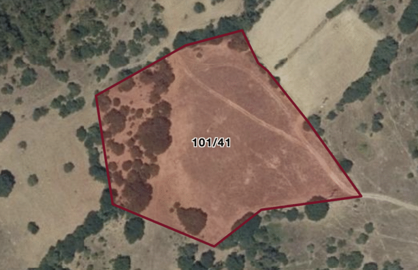 Ekran Resmi 2025-11-21 13.35.42