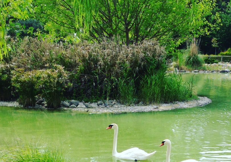 sasalı-doğal-yaşam-parkı