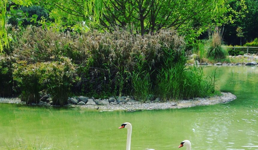 sasalı-doğal-yaşam-parkı