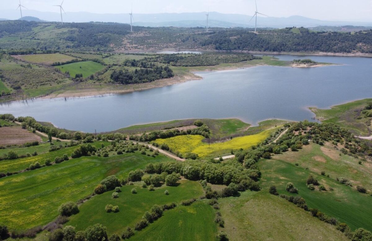 WhatsApp Image 2025-11-29 at 19.35.01