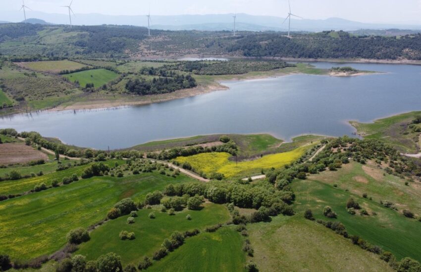 WhatsApp Image 2025-11-29 at 19.35.01